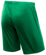 Шорты игровые CAMP Classic Shorts, зеленый/белый