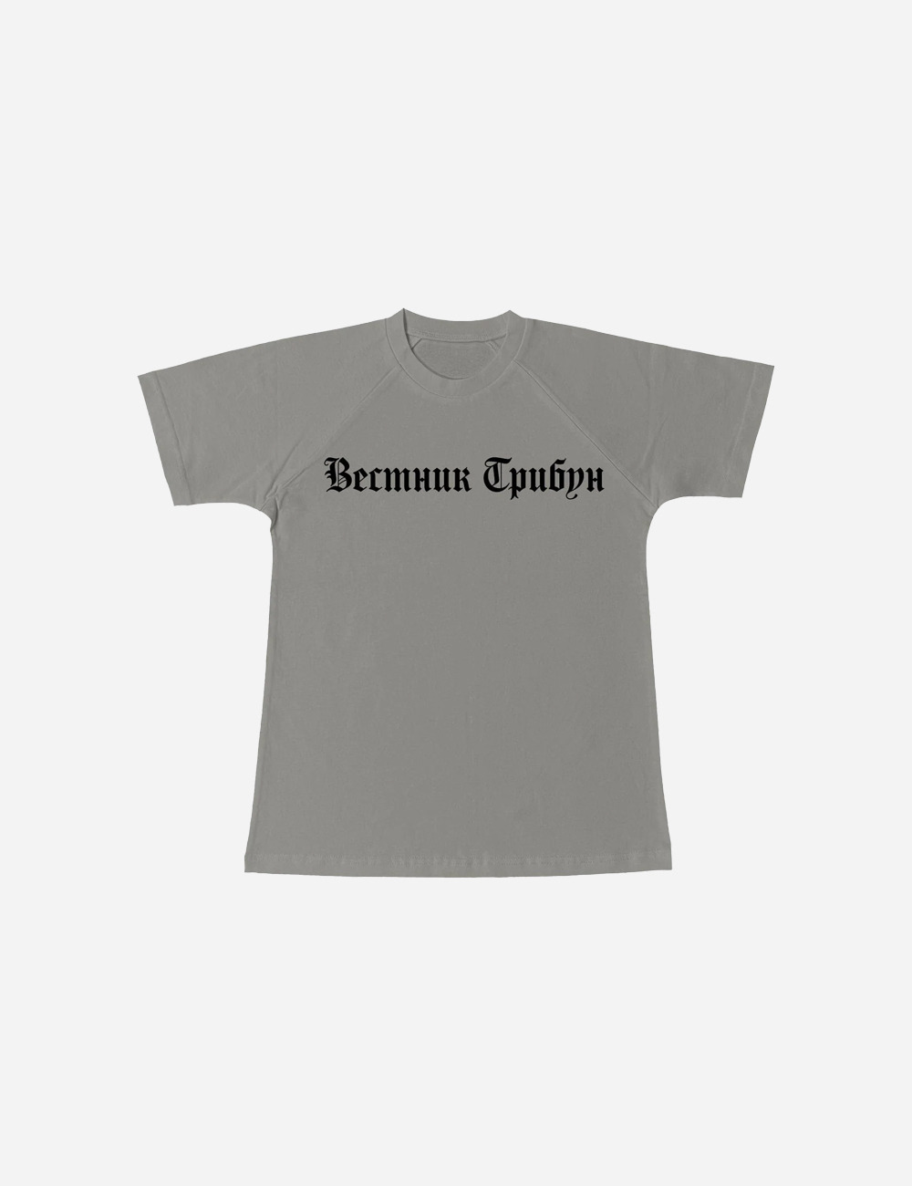 YZY Grey Vestnik Tee (TS-02)