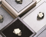 Шкатулка AMBRA SHAGREEN EDITION Giobagnara, арт. HB141