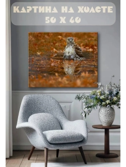 Картина на стену 40 X 50 Орел