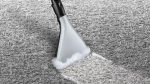 Пылесос Bosch BWD421POW