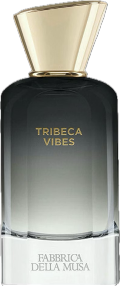 Fabbrica Della Musa Tribeca Vibes Extrait de Parfum 100 ml