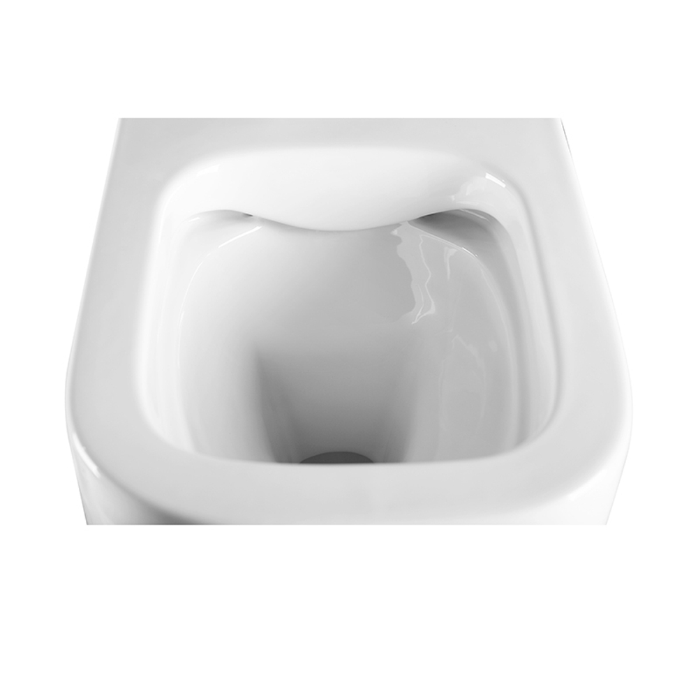 PINTO RIMLESSБезободковый подвесной унитаз EWC700-126W