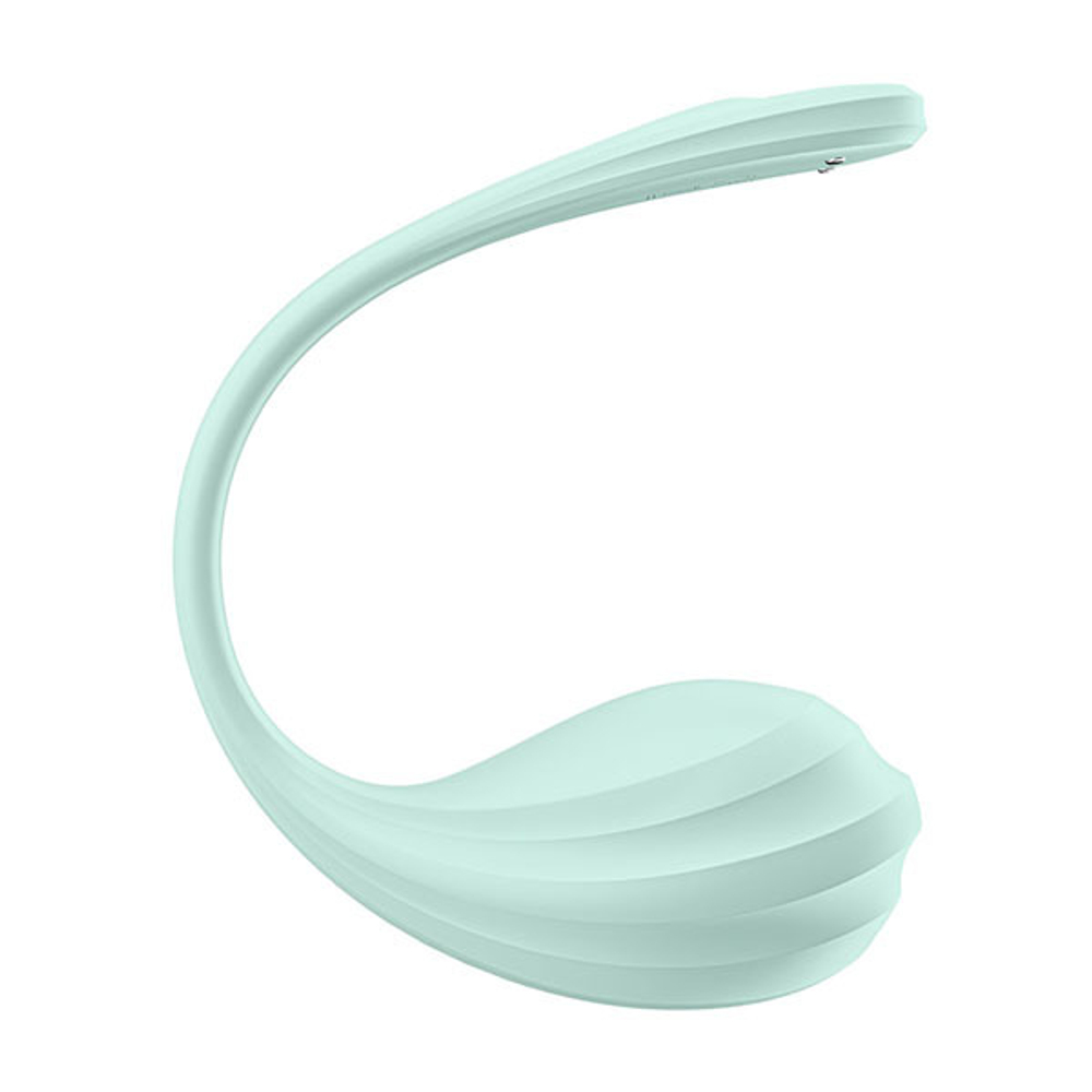 Мятное виброяйцо 23см Satisfyer Smooth Petal 4002736