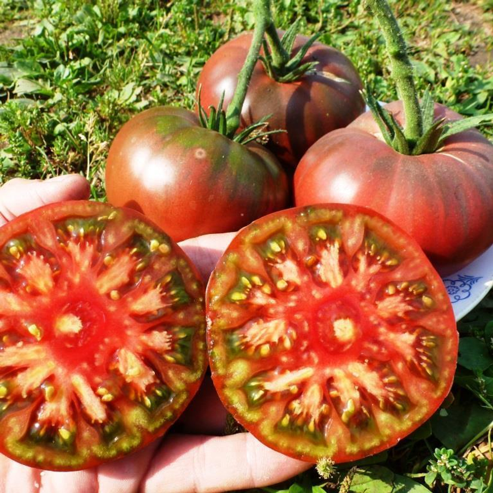 Помидоры – Фермерский Чёрный