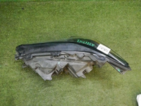DSCN5517.jpg