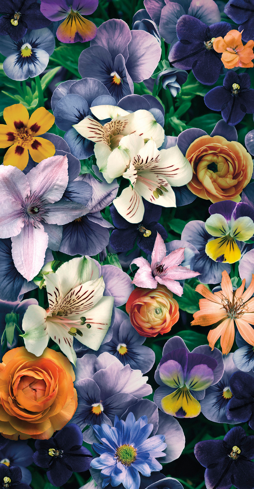 Коллекция Flower Dreams