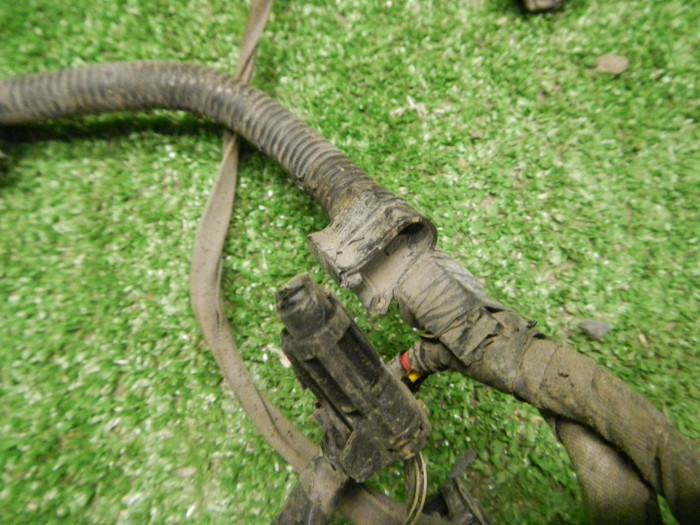 DSCN0024.JPG