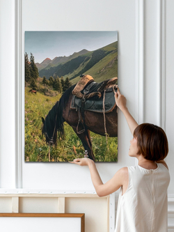 Картина Скакун на склоне интерьерная 50x70см 1шт.