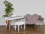 Eta Piano DBR-10