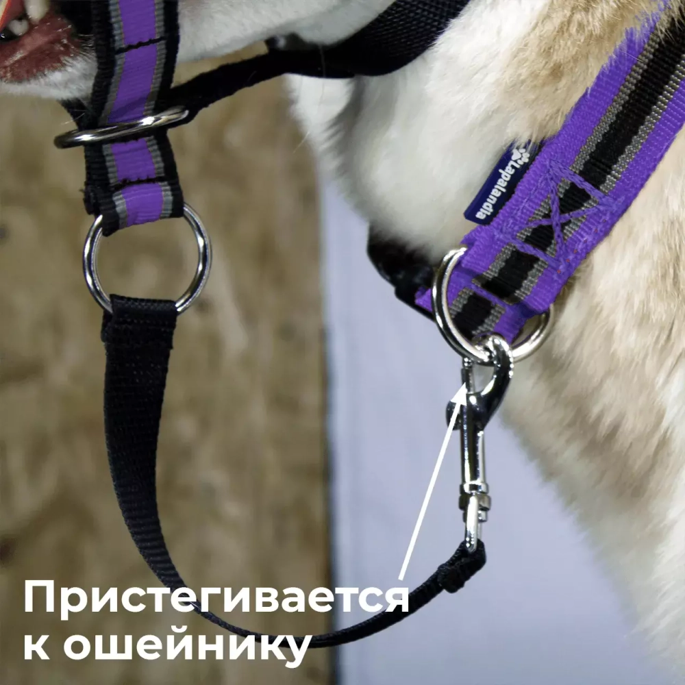 Недоуздок корректор поведения Спорт (Халти) для собак