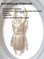 Панно 14 см. насекомые на стену для интерьера Жук - олень