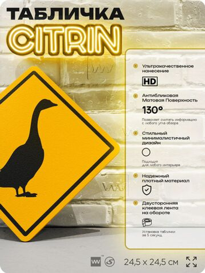Табличка прикольная "Осторожно, гуси" на дверь и стену, информационная и предупреждающая, декоративный знак, 24,5х24,5 см, пластиковая, Айдентика Технолоджи
