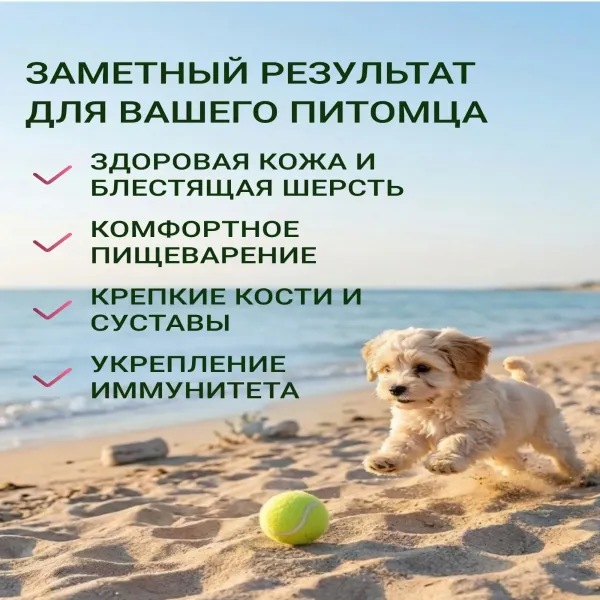 Сухой корм Fealdon для взрослых собак мелких и миниатюрных пород с чувствительным пищеварением, ягненок и индейка