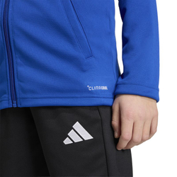 Детская толстовка Adidas Entrada 26 Track — royal blue/white