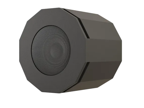 CVGAUDIO SUBone model D-6BL/CR/T подвесной пассивный сабвуфер