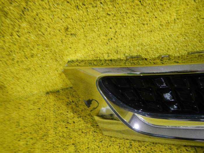 DSCN4485.JPG