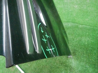 DSCN8020.JPG