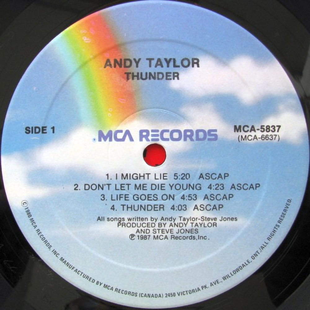 Andy Taylor / Thunder (LP)