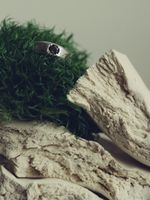 Кольцо Кристал Раунд с раухтопазом / Crystal Round