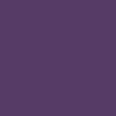 Цвет #563b66