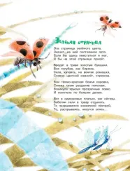 Круглый год. Стихи и загадки