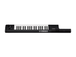 Yamaha SHS-500B
