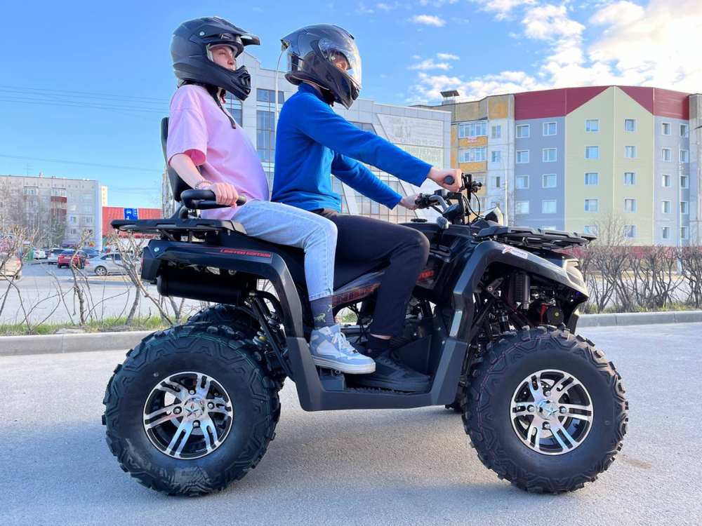 Квадроцикл PROMAX RENEGADE 280 LONG WINCH PRO (2025)