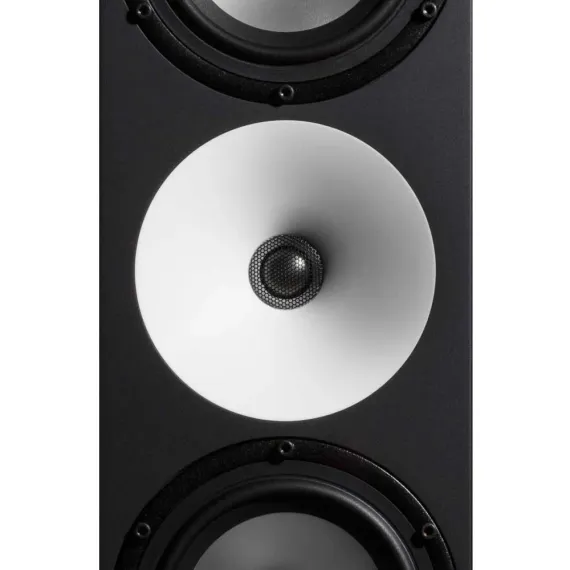 Amphion Two15 Black