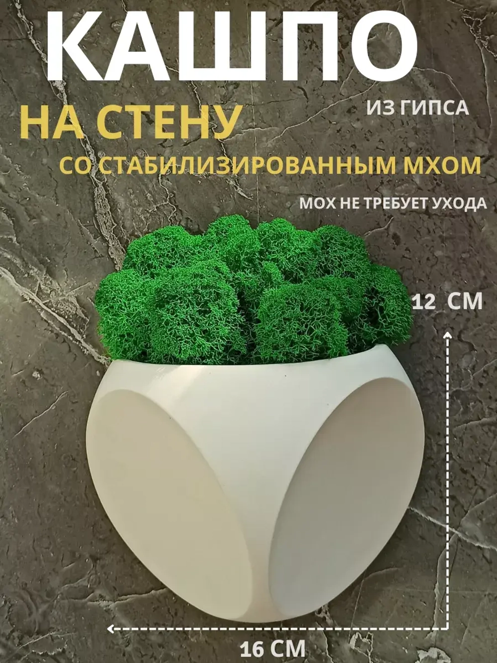 Настенное кашпо со мхом