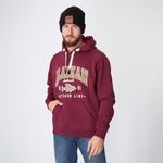 Толстовка Alaskan Promo Hoodie бордо XXXL