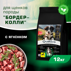 Корм сухой для щенков породы Бордер-колли, премиум полнорационный комплекс, с ягненком, 12 кг, QUATTRO