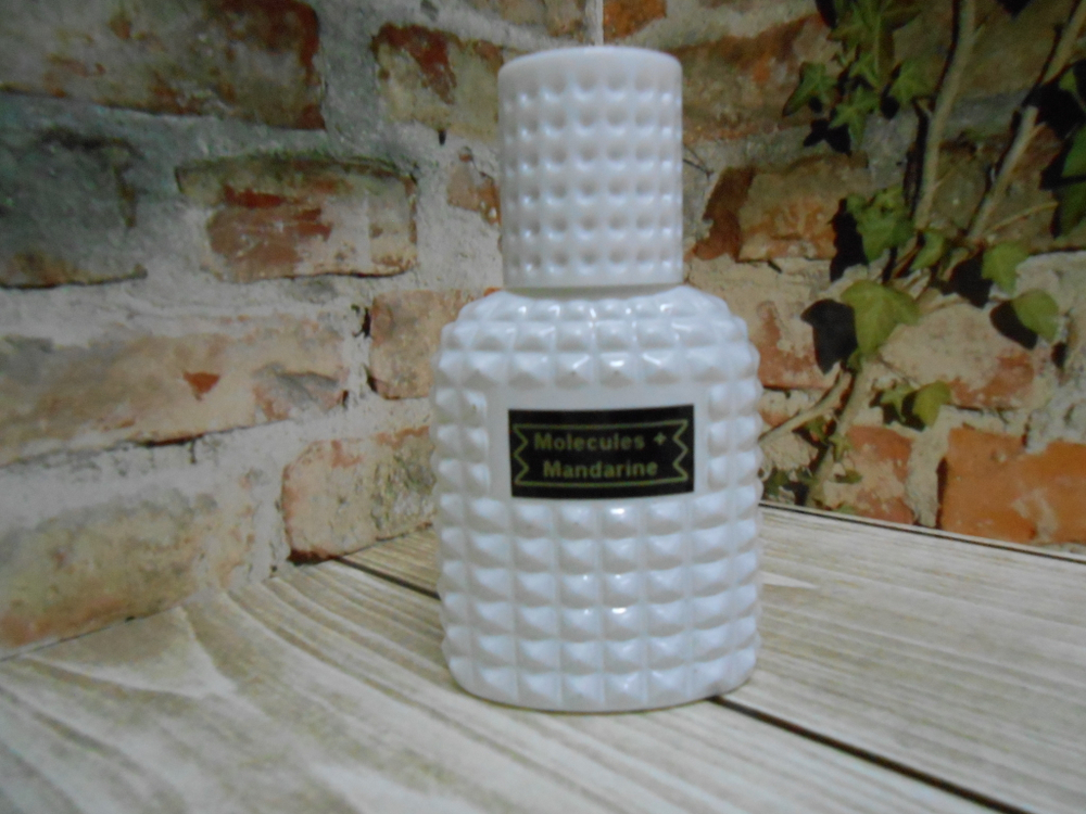 Парфюмерная вода унисекс СвеТLана Mr. Newl C&M046-06 30 ml