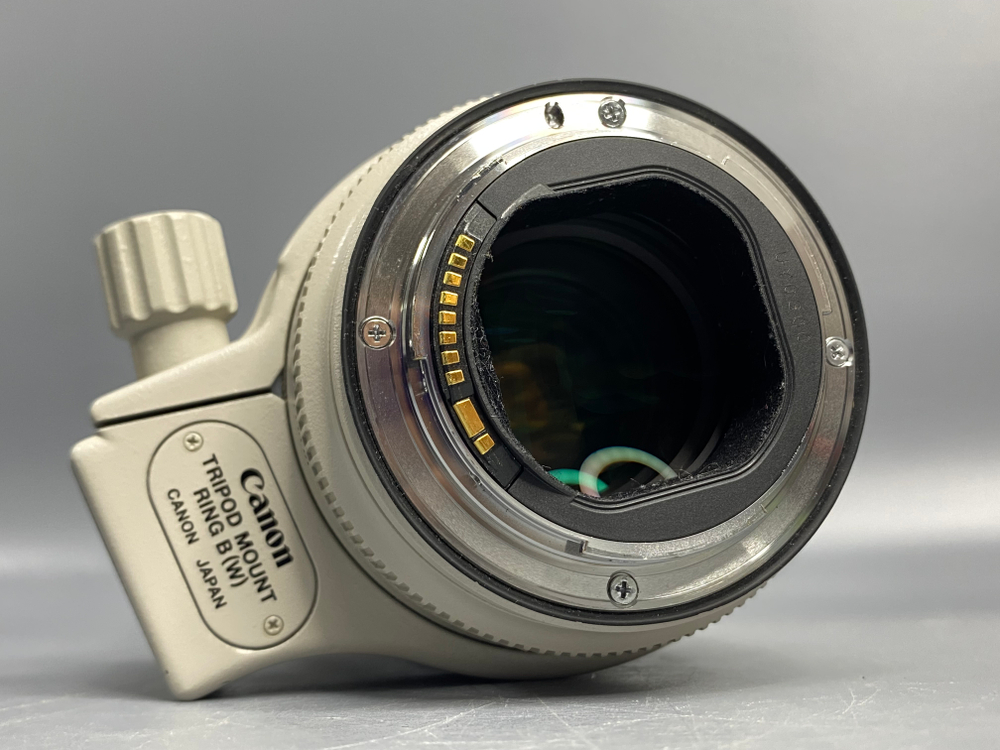 Canon EF 70-200mm 2.8L IS II USM