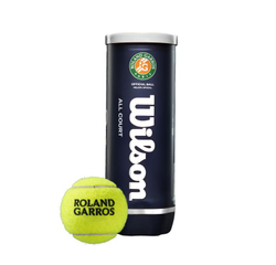 Теннисные мячи Wilson Roland Garros All Court 3B