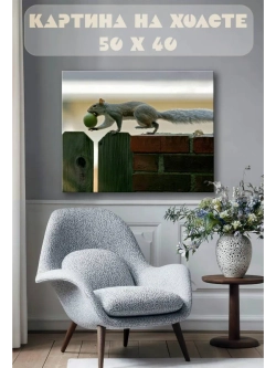 Картина на стену 40 X 50 Белка