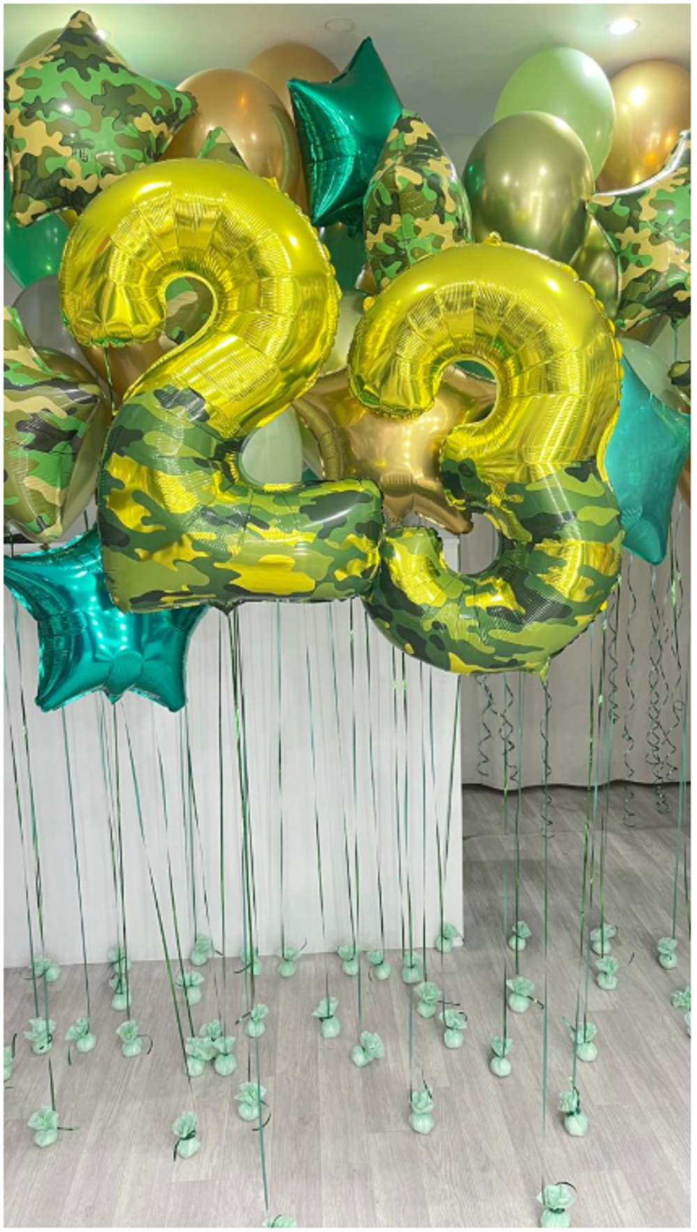 шары на 23 февраля и дембель №49