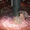 Станок гидроабразивной и плазменной резки Eckert OPAL WaterJet Combo