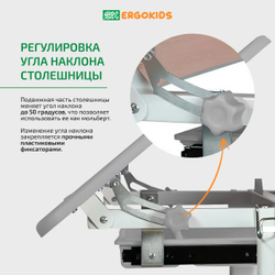 Детский стол и стул Ergokids Foxy BD-20