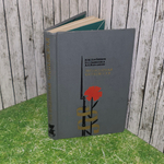 Книга "Легендарная Чапаевская"