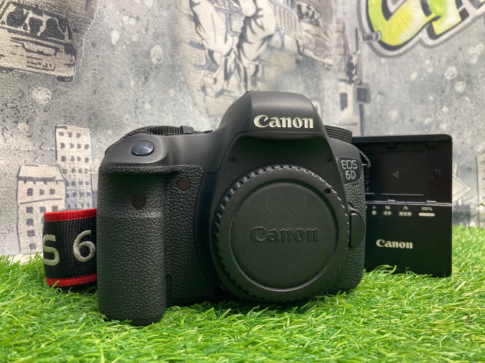 Canon EOS 6D 4.600 кадров