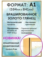 Металлическая рамка А1 (594х841 мм)