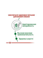 ROYAL CANIN Mini Adult PRO (Роял Канин Мини эдалт) корм сухой для собак 15 кг.