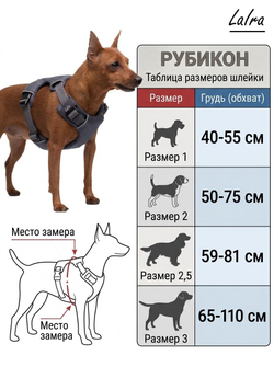 Шлейка для собак РУБИКОН