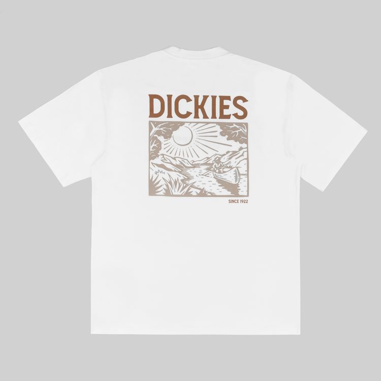 Футболка мужская Dickies Patrick Springs артикул:DK0A4YR7WHX1 - купить в магазине Дайс