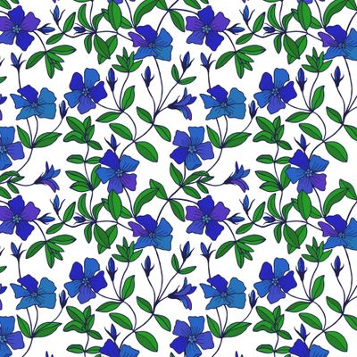 Periwinkle flowers seamless pattern.