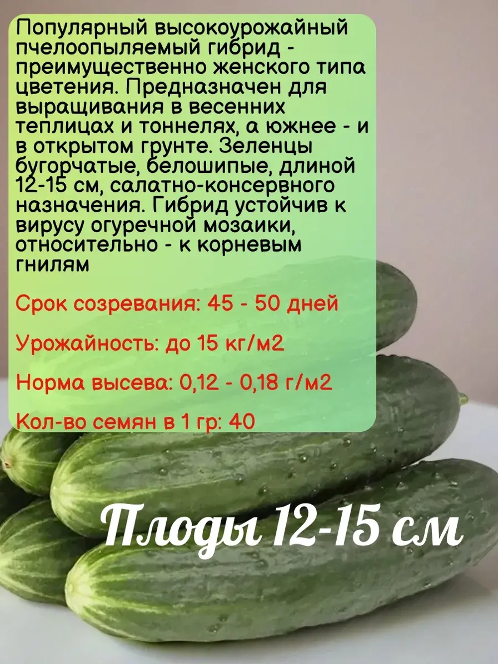 Семена Огурец Майский F1 высокоурожайный гибрид 2гр