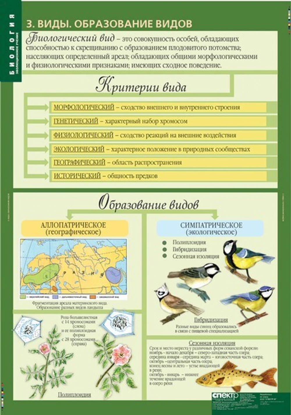 Комплект таблиц "Биология 10-11 кл. Эволюционное учение" (10 табл)