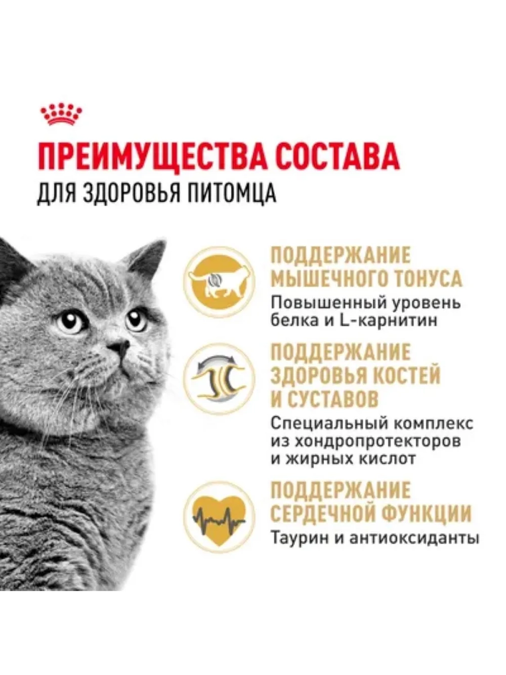 British Shorthair Корм для кошек 2кг