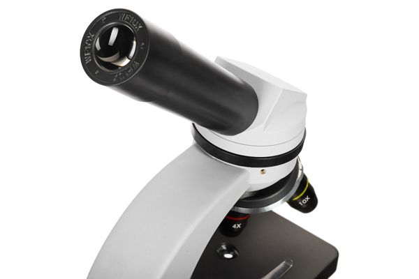 Микроскоп Levenhuk Discovery Nano с книгой